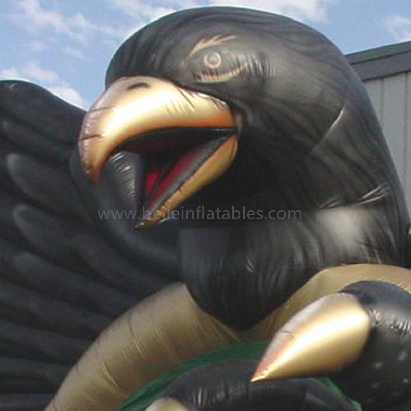 Eagle Helmet